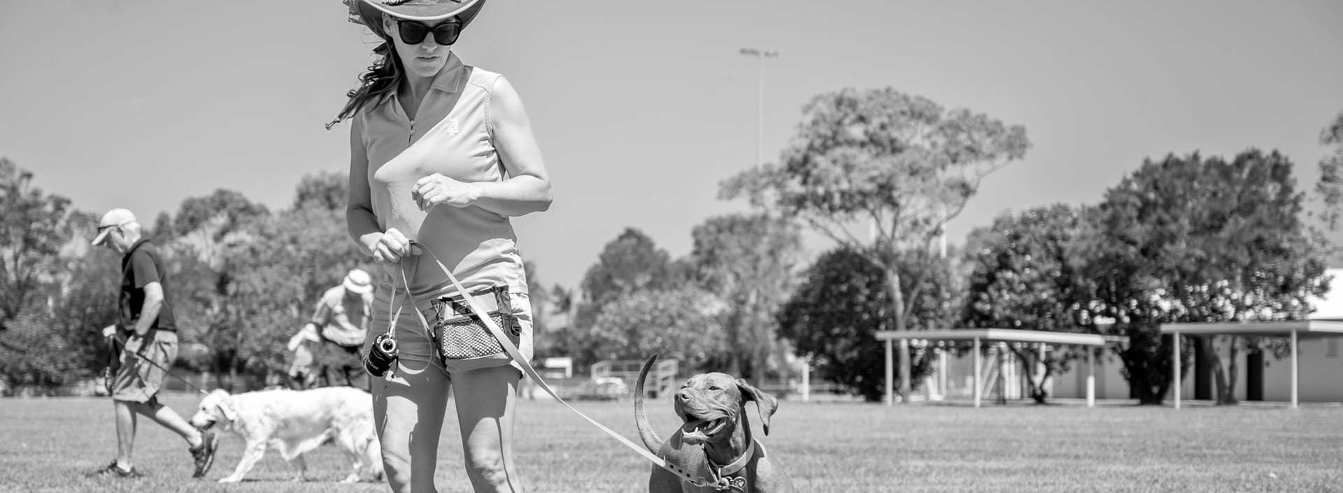 Dog Training Brisbane & Sunshine Coast The Canine Classroom